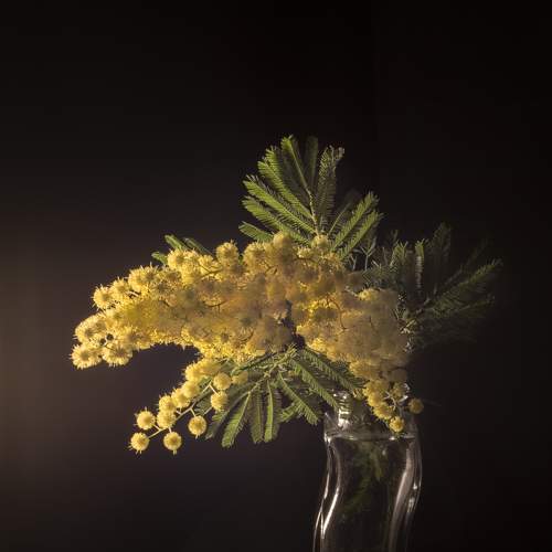 Photo #7065804