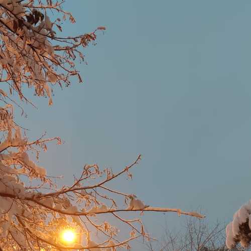 Photo #7065807