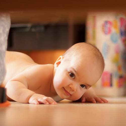 Photo #7065831