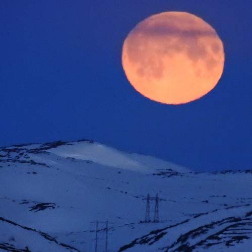 Moon in the night