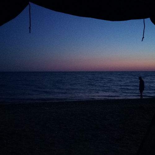 Photo #7065987