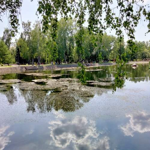 Photo #7066004