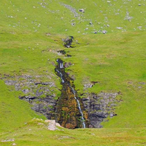 Photo #7066198