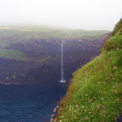Photo #7066288