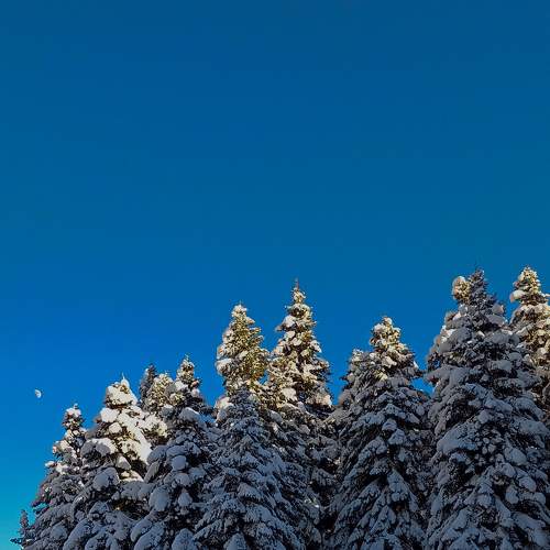 Photo #7066306