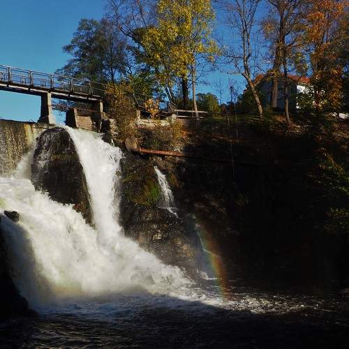 Photo #7066379