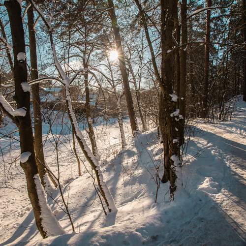 Photo #7066545