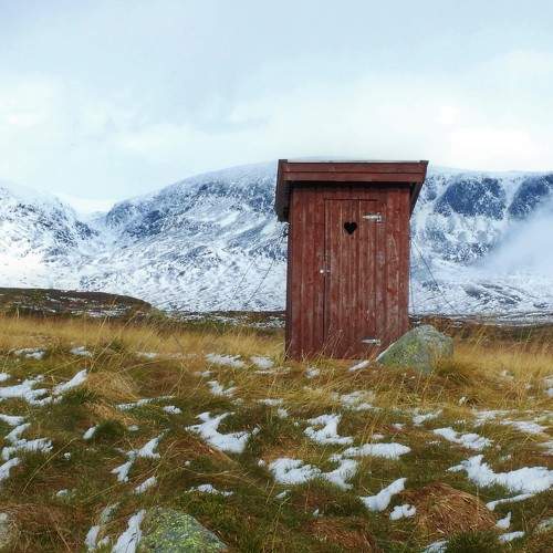 Photo #7066655