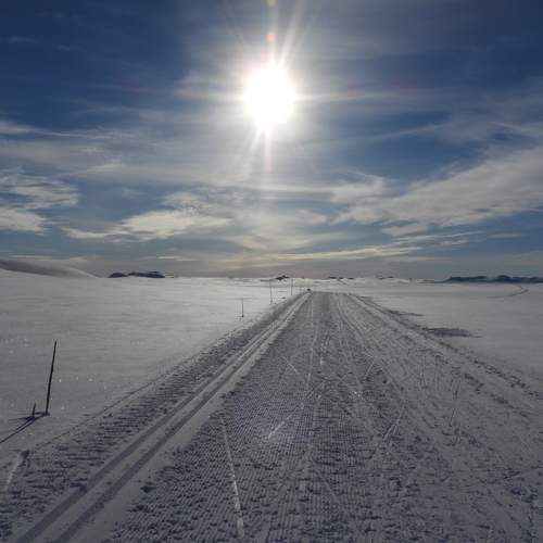 Photo #7066727