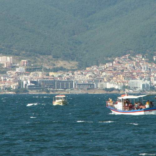 Photo #7066818