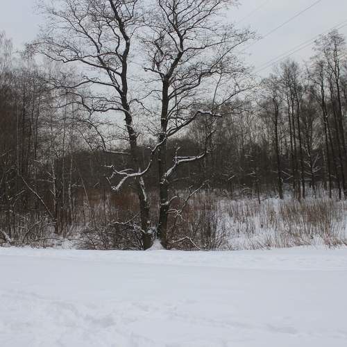 Photo #7067105