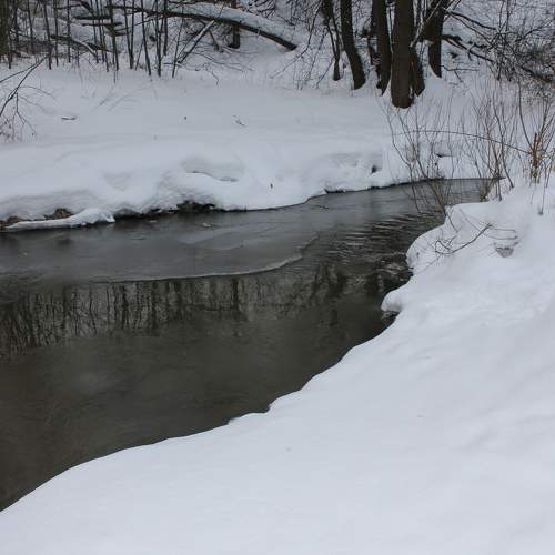 Photo #7067106