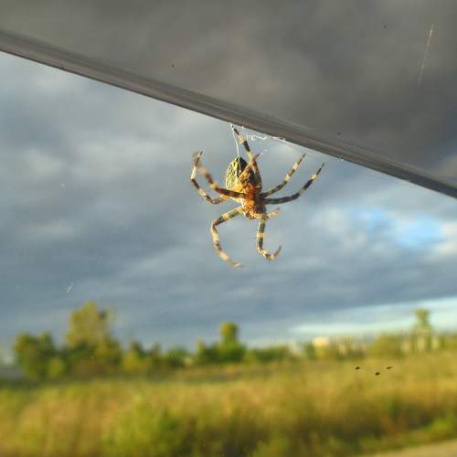 Photo #7067122