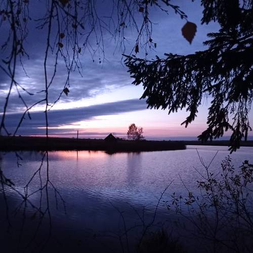 Photo #7068494