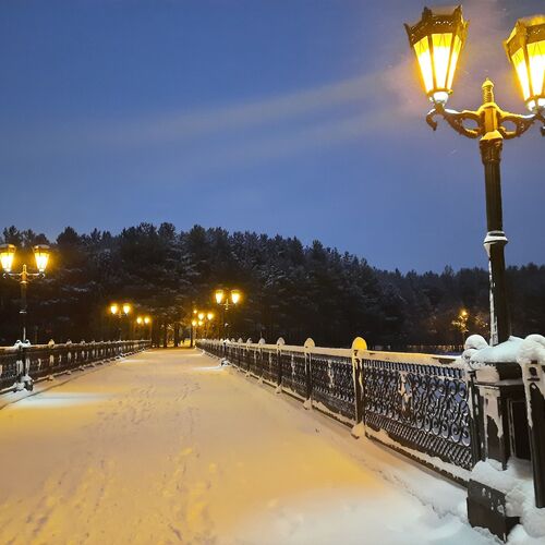 Photo #7068623
