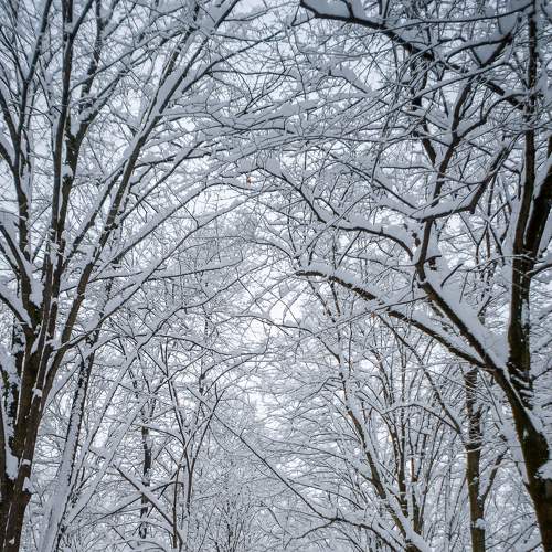 Photo #7068628