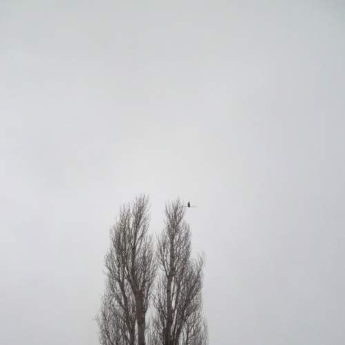 Photo #7068798