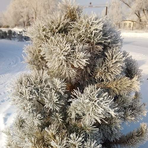 Photo #7068997