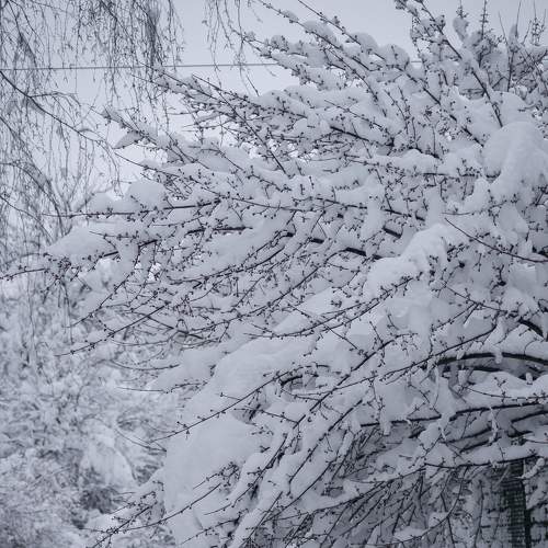 Photo #7069608