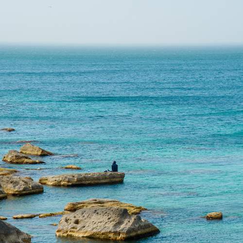 Photo #7069710