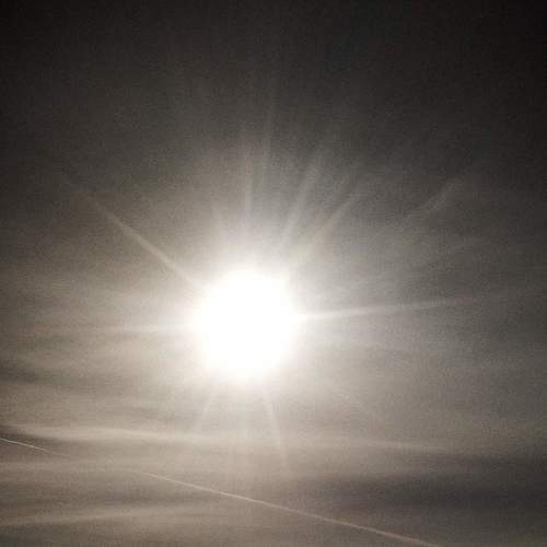 Photo #7069748