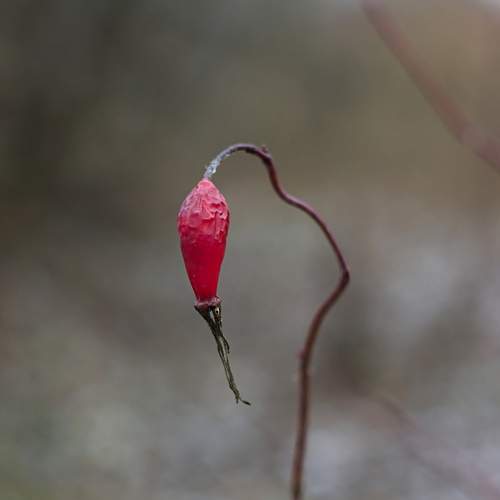 Photo #7070061