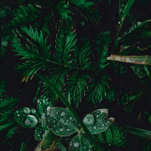 Photo #7070102