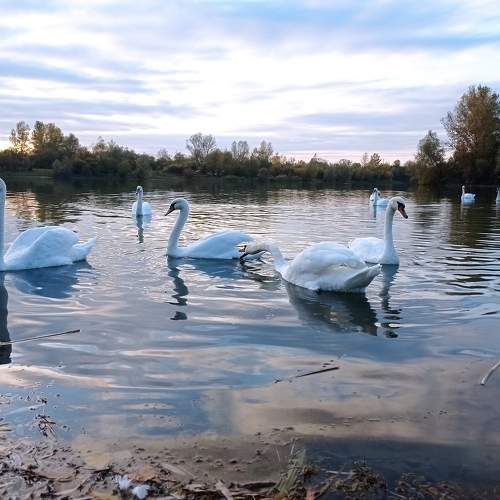 Photo #7070228