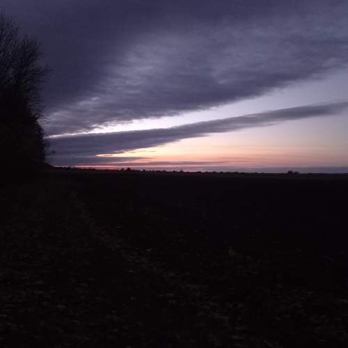 Photo #7070229