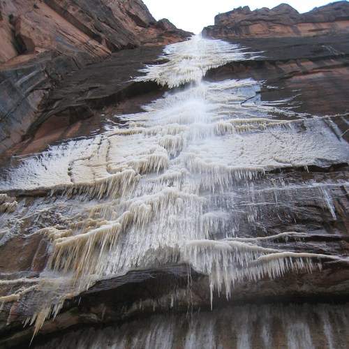 Photo #7070326