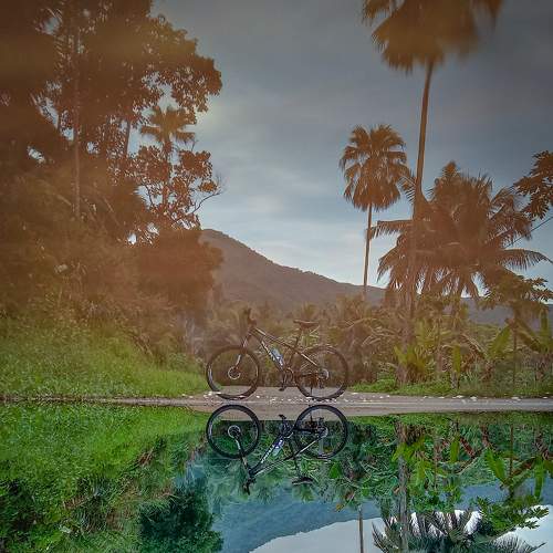 Photo #7070611