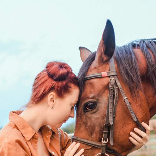 Photo #7070941