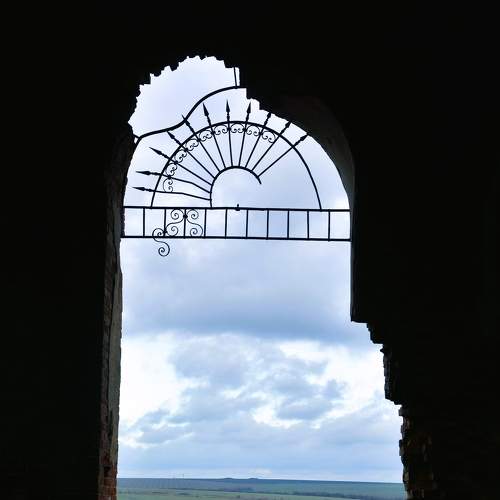 Photo #7071006