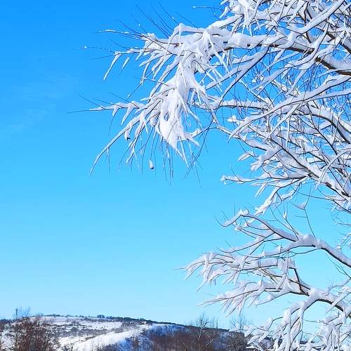 Photo #7071015