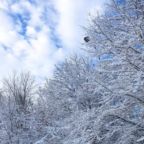 Photo #7071040