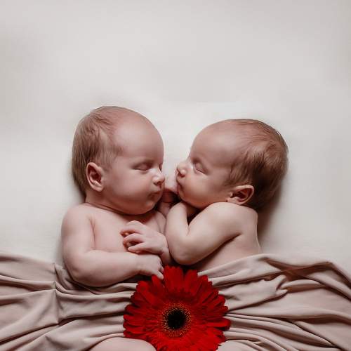 Photo #7071453