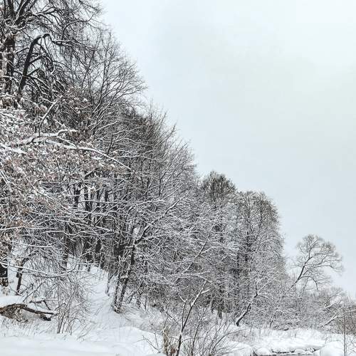 Photo #7071741