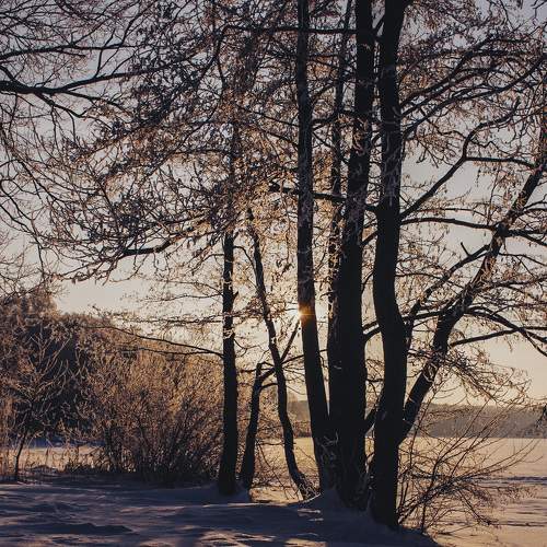 Photo #7071756
