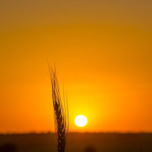 Photo #7072027