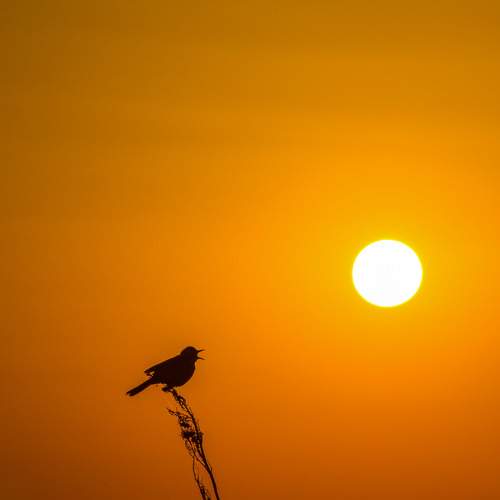 Photo #7072046