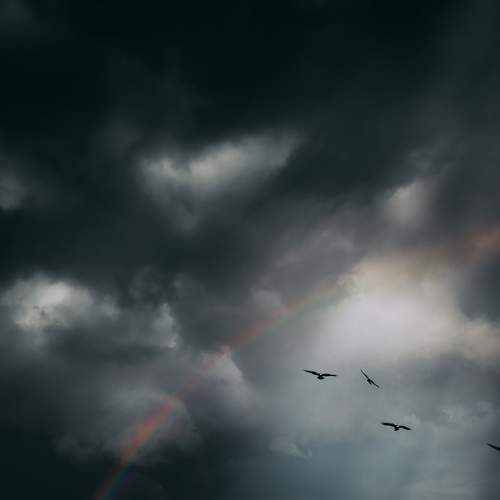 Photo #7072076