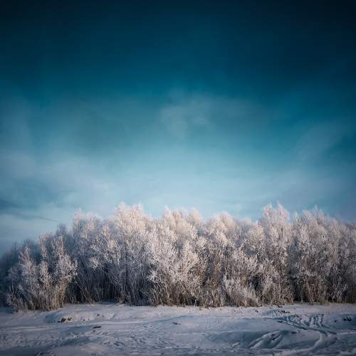 Photo #7072150