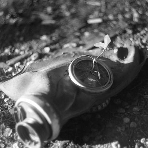 Photo #7072185