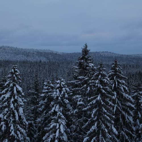 Photo #7072319