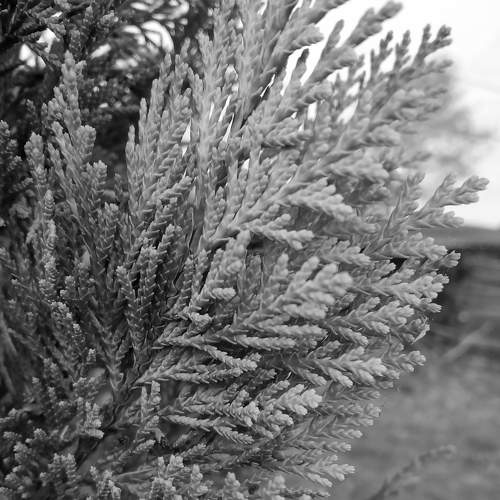 Photo #7072326