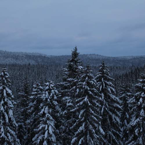 Photo #7072625