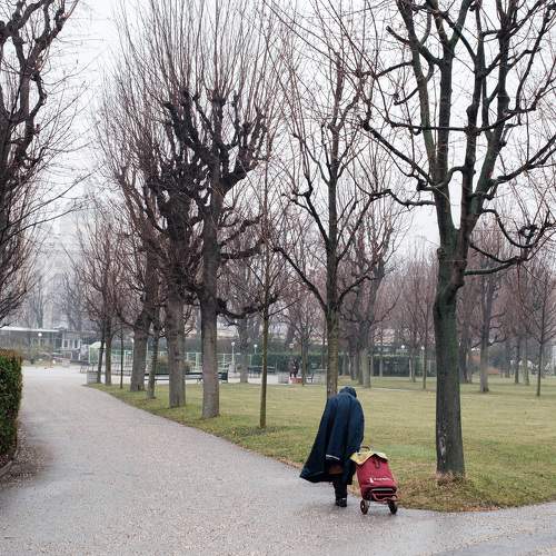 Photo #7072632