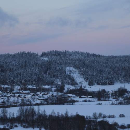 Photo #7072637
