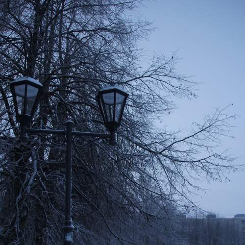 Photo #7072659