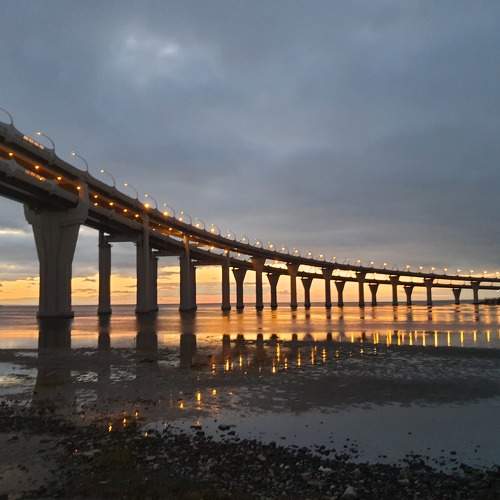 Photo #7072781